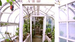 Répondre serre, plantes, horticulture, ensoleillé, ventilation, tuyaux