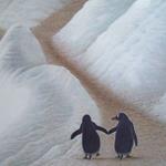 Responda pinguins